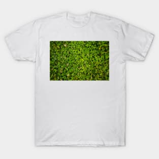 Cloverfield T-Shirt